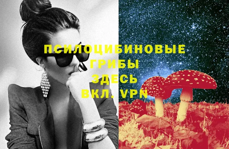 Галлюциногенные грибы Psilocybe  мега как войти  Владивосток 